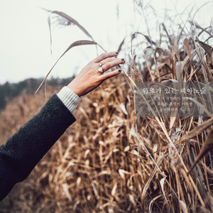 잠 들지 못하는 새벽 (Rain Ver.)