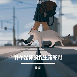 我不是你的宋冬野