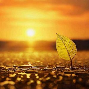 这世界哪来将心比心