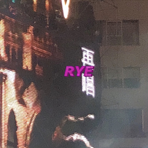 Go through dark(feat熊文蝶)