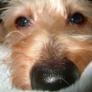 電脳世界で生きるのさ