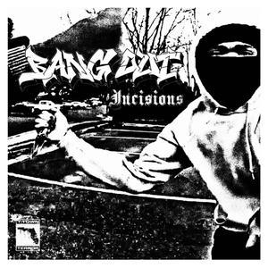 Incisions