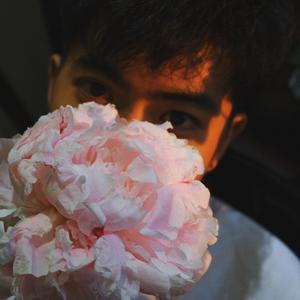 我是一只鱼（cover：落日飞车）