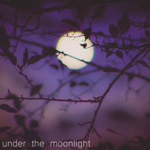 Under the Moonlight