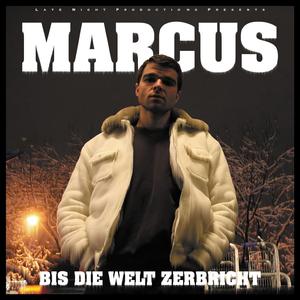 Man sieht's durch mein Polo (feat. Tony Gorilla)