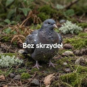 Bez skrzydeł