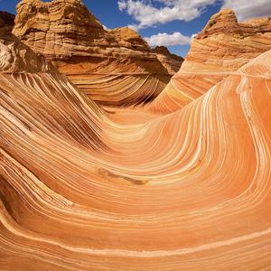 ARIZONA (feat. dhouseee)