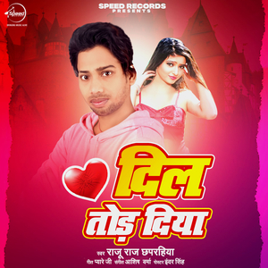 Dil Tod Diya