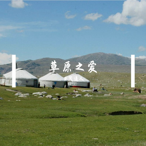 《草原替我爱你》