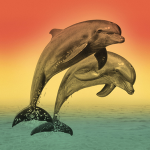 Künstliche Relevanz