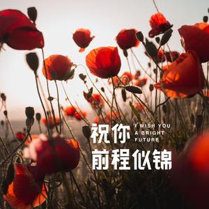 祝你前程似锦