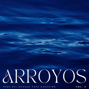 Arroyos Rocosos Que Fluyen Río