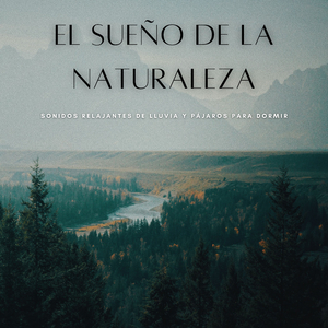 Canciones De Lluvia Que Calman Espíritus Inquietas