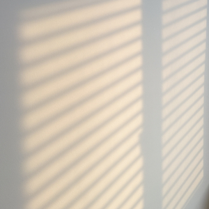 地球毁灭后的星际探索