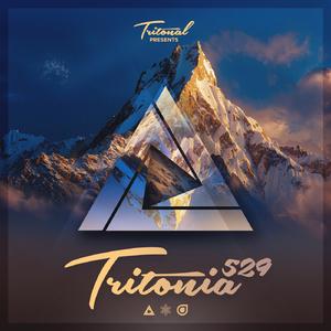 Now Or Never (Tritonia 529) (feat. Phoebe Ryan) (Estiva vs. Juventa Remix)