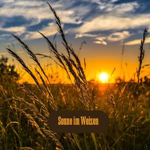 Riss der Veraenderung