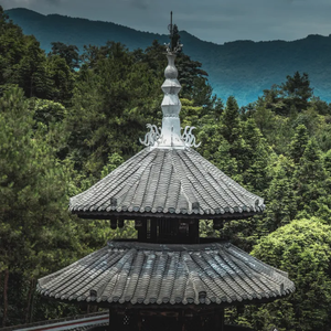 寒潭落霞间的茶香氤氲