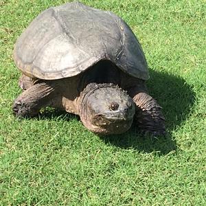 half full or half empty