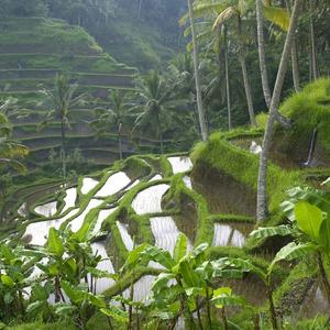 活了这么多年终于明白