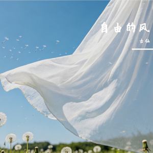 自由的风