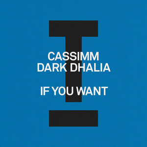 If You Want (Extended Mix)