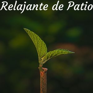 Volamos