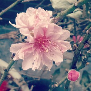 短暂又不是遗憾缺口