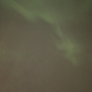 旧时王谢（《惊鹊》花亦山心之月夜逸CP向翻填）