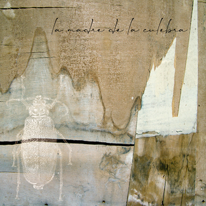 El Testamento de Amelia