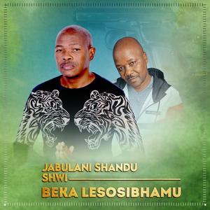 Beka Lesosibhamu (feat. Shwi)