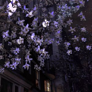 夜空中最亮的星(纯音乐)-5媚娘