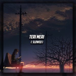 Teri Meri (Slowed)