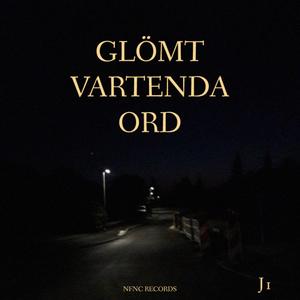 Glömt vartenda ord