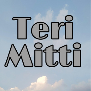 Teri Mitti