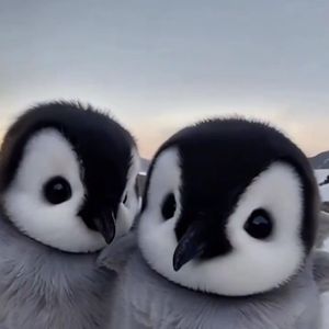 深夜街头的回忆