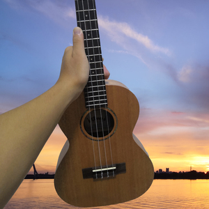 大鱼（尤克里里版）（翻自 周深）