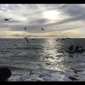 乱写小情歌（翻唱）.wav