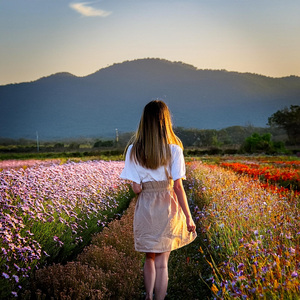 Energía Serena Delicada