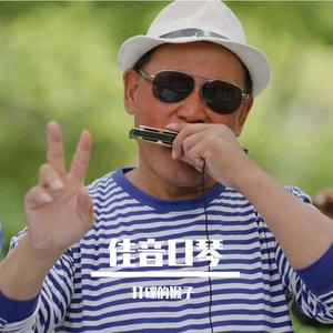 南山南（口琴版）