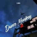Dance Monkey (DJ许妍进行曲)