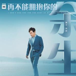 再不能拥抱你的余生  (DJ沈念版)