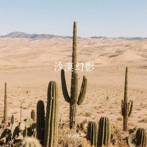 沙漠幻影
