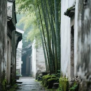 竹影苔痕旧巷风