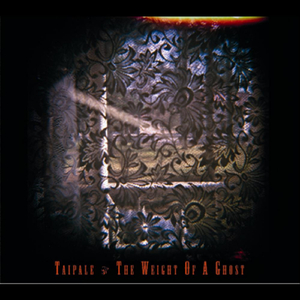 The Weight of a Ghost