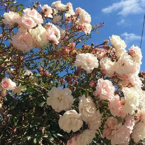 熬夜时 我所想的事.（Prod by NeonMusic）