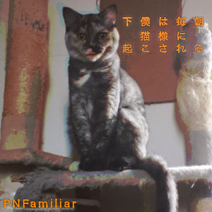 困った時のちくわ