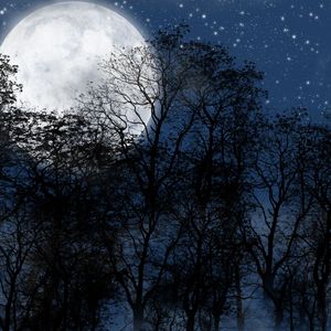 用心去珍惜 伴奏