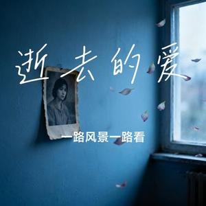 逝去的爱 (Cover BIGcoco)