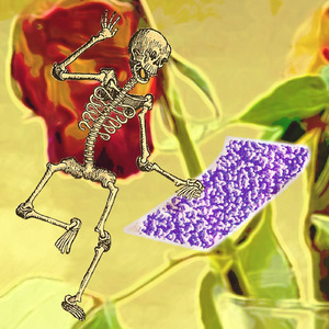 Menghiraukan Kecewa (Acoustic)