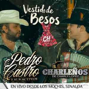 Un Vestido De Besos (feat. Pedro Castro Y Sus Activos)